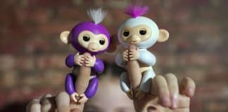 fingerlings